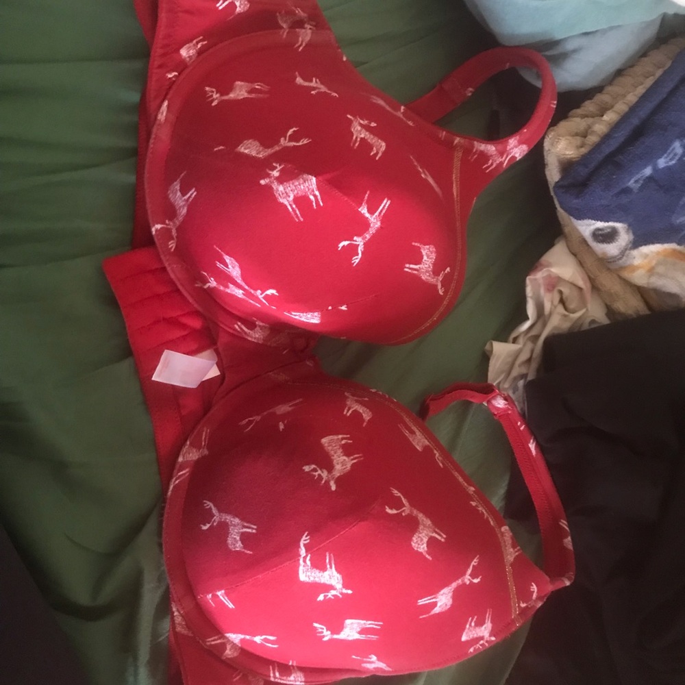 Cacique reindeer-print bra.